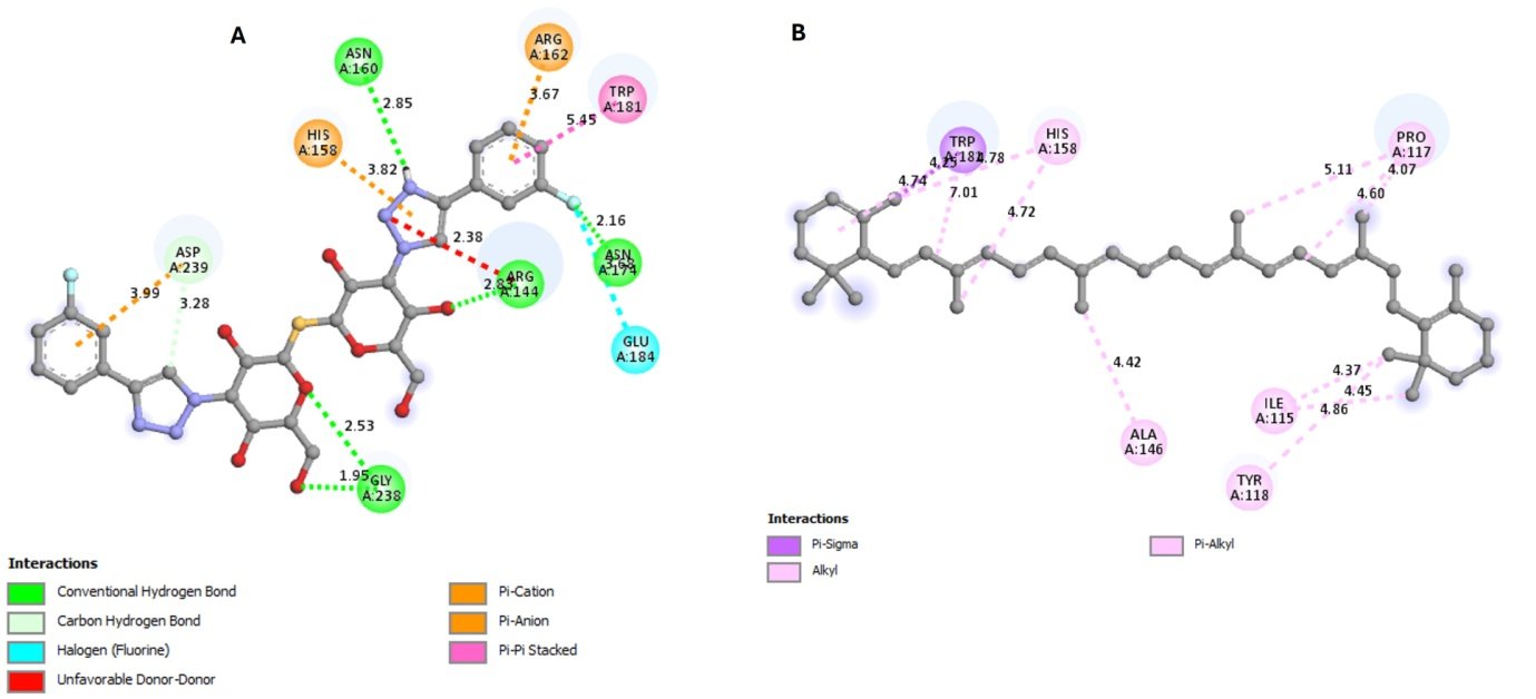 Figure 2. Two-dimensional interaction profiles of the top-ranked poses. (A) Olitigaltin forms hydrogen bonds and π-interactions with Arg144, His158, Asn160, Arg162, Asn174, Trp181, Glu184, Gly238 and Asp239. (B) α-Carotene forms only alkyl and π-alky